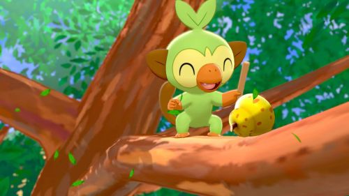 Pokemon auf Baum (Pokemon Schwert und Schild)