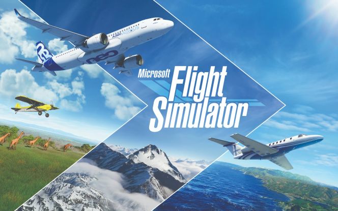 Key Art (Microsoft Flight Simulator)